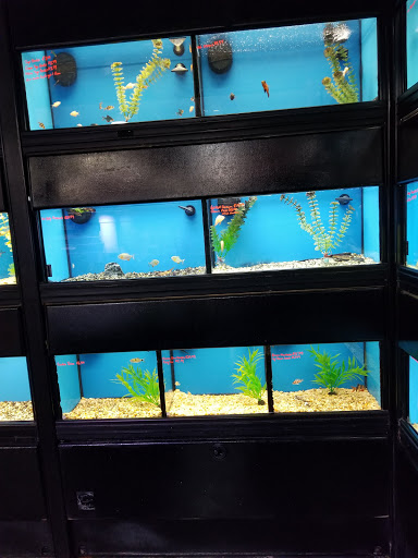 Pet Supply Store «Pet Goods», reviews and photos, 10 Commerce Blvd, Succasunna, NJ 07876, USA