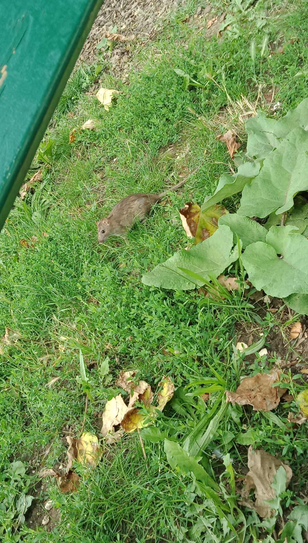 Photo n° 7 de l'avis de Dominique. fait le 15/08/2023 à 10:10