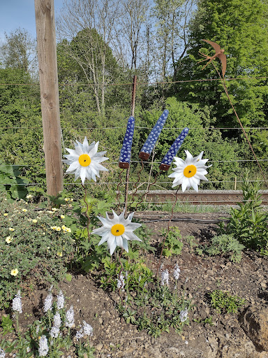 Convenience Store «Walgreens», reviews and photos, 1802 Main St, Chester, MD 21619, USA