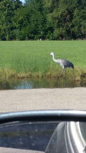 Grocery Store «Daniels Foods Sentry», reviews and photos, 681 Kenosha St, Walworth, WI 53184, USA