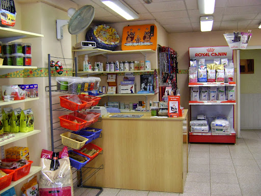 Centro Veterinario Can Menut - La Muntanyeta en Castelldefels