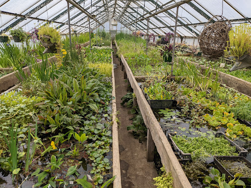 Pond Supply Store «Waterford Gardens», reviews and photos, 74 E Allendale Rd, Saddle River, NJ 07458, USA