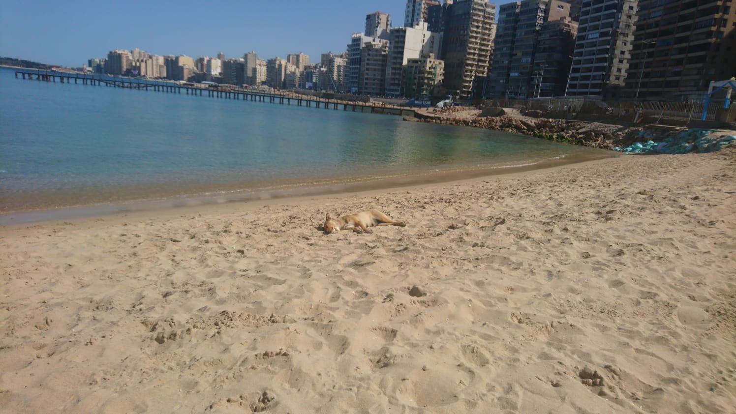 Miamy Beach photo #8