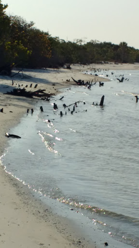 Nature Preserve «San Carlos Bay - Bunche Beach Preserve», reviews and photos, 18201 John Morris Rd, Fort Myers, FL 33908, USA