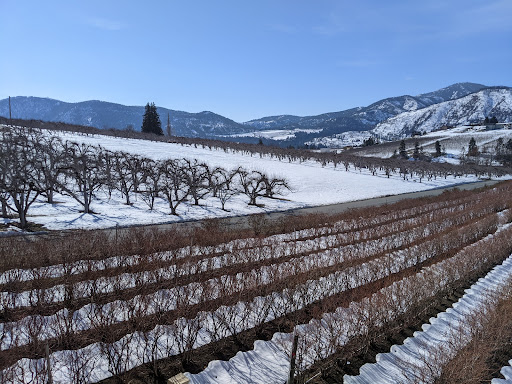 Family Restaurant «Blueberry Hills Farm», reviews and photos, 1315 Washington St, Manson, WA 98831, USA