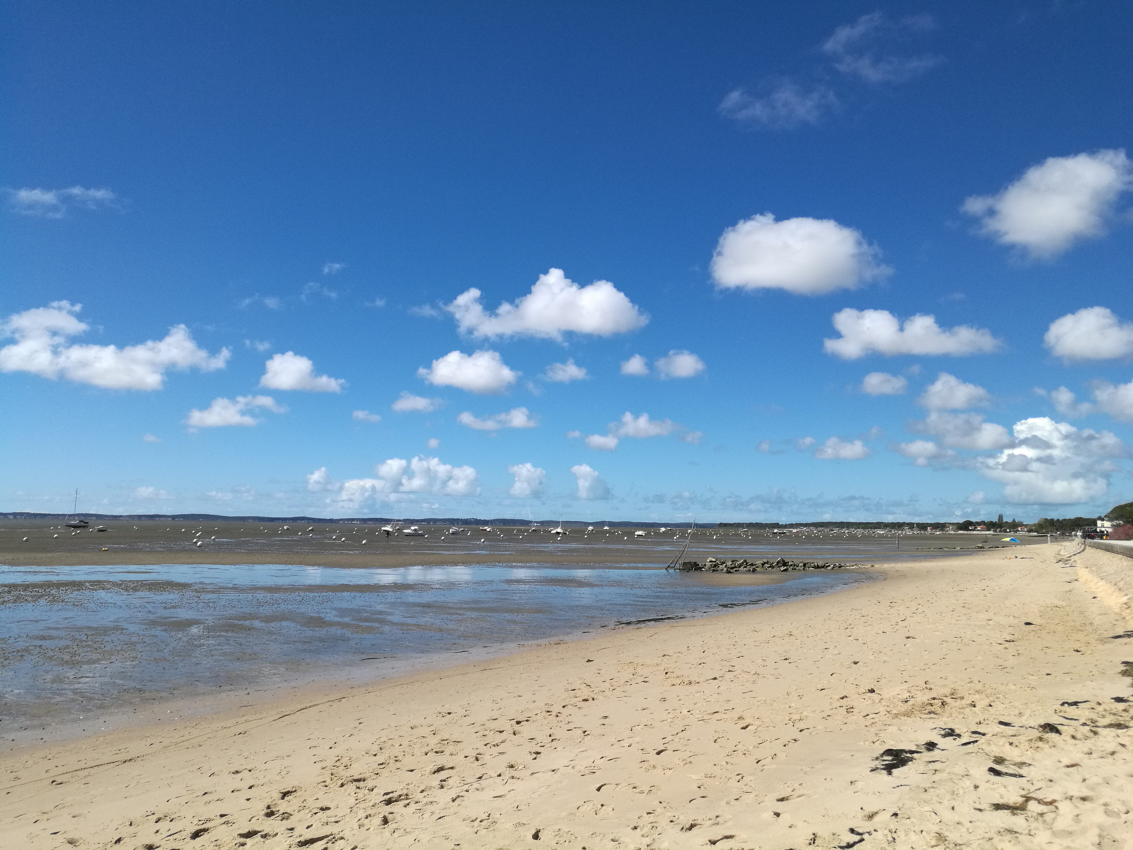 Photo n° 3 de l'avis de Yacine.a fait le 07/04/2019 à 13:48