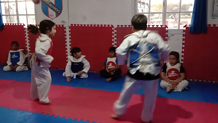 Academia Taekwondo Horang Yi