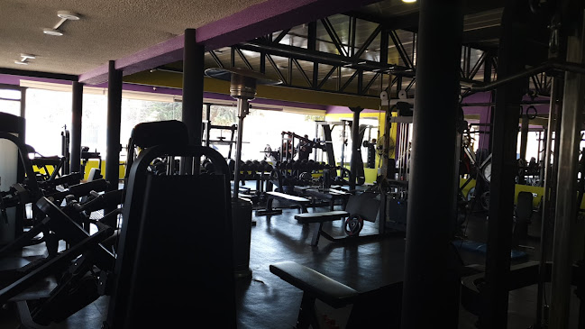 Gym Buin Max