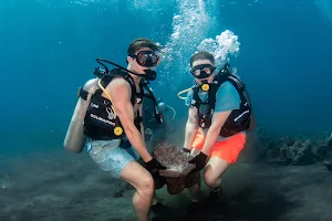 Bali Conservation Diving image