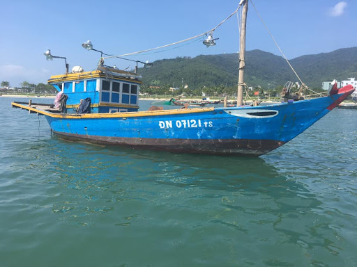 Câu Mực Đêm Đà Nẵng