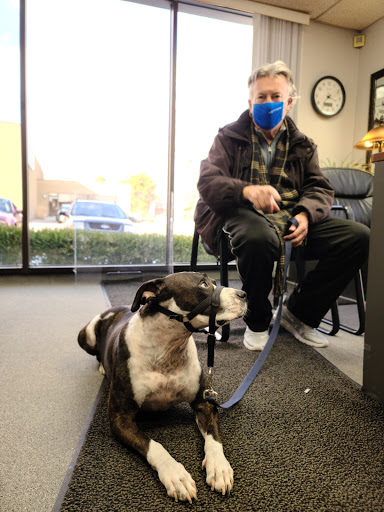 Used Car Dealer «City of Cars», reviews and photos, 1695 Stutz Dr, Troy, MI 48084, USA