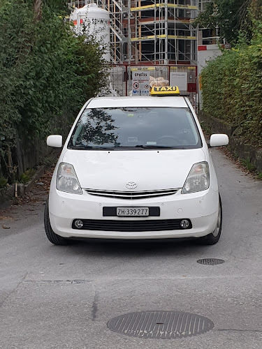 Rezensionen über Ecotaxi24 Dietlikon in Zürich - Taxiunternehmen