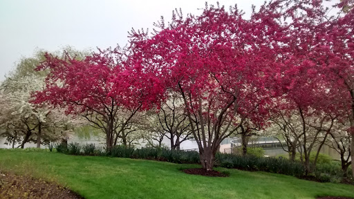 Botanical Garden «Chicago Botanic Garden», reviews and photos, 1000 Lake Cook Rd, Glencoe, IL 60022, USA