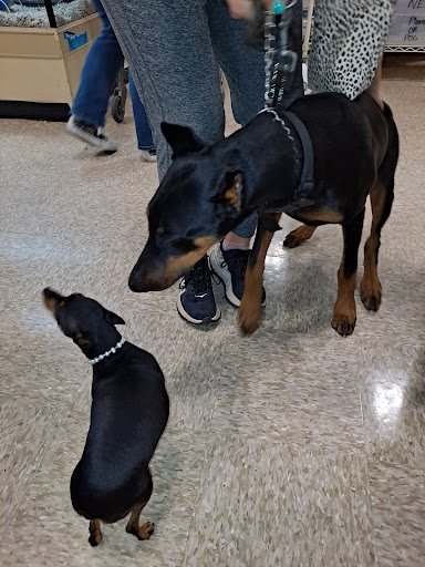 Pet Supply Store «PetSmart», reviews and photos, 3096 N Eastman Rd, Longview, TX 75605, USA