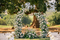 Parisa Design - Photo 3 - Car repair in , Roseville