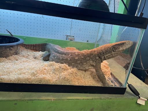 Pet Store «Aqualand Pets Plus», reviews and photos, 3600 6th Ave, Des Moines, IA 50313, USA