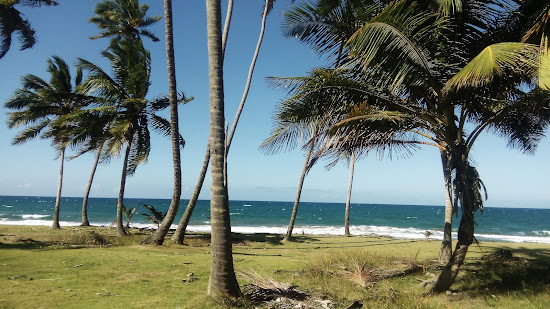 Playa El Broke