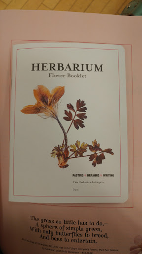 Book Store «Barnes & Noble», reviews and photos, 620 Marketplace Dr, Bel Air, MD 21014, USA