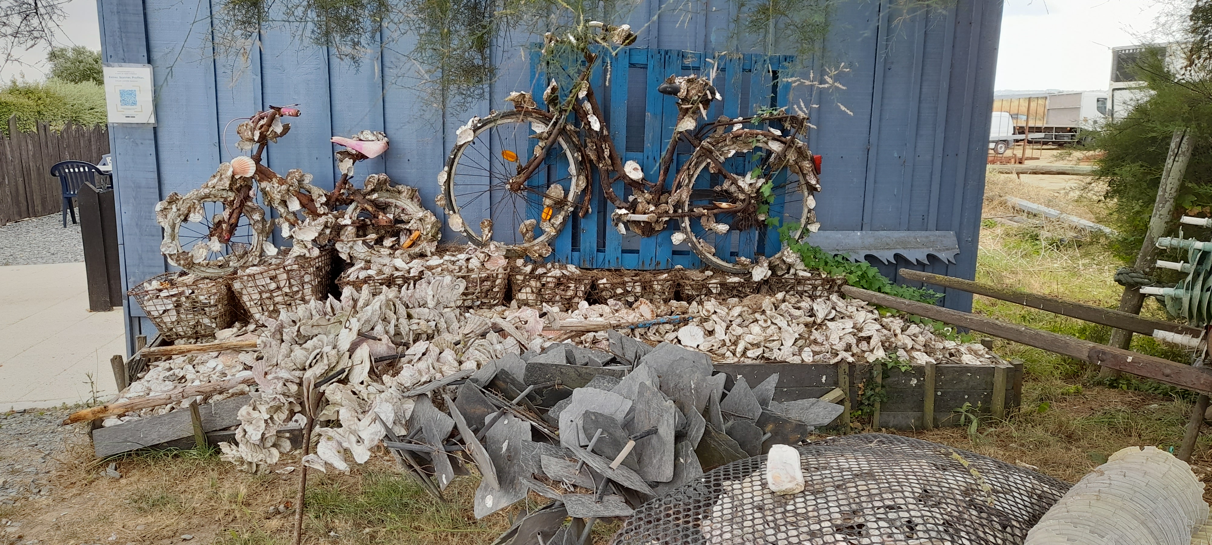 Photo n° 4 de l'avis de Angeeelique.o fait le 01/09/2022 à 11:54