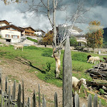 Photo n°1 de l'avis de Michaela. fait le 19/09/2022 à 14:53 sur le  Azienda Agricola Le Mandre à Bedollo