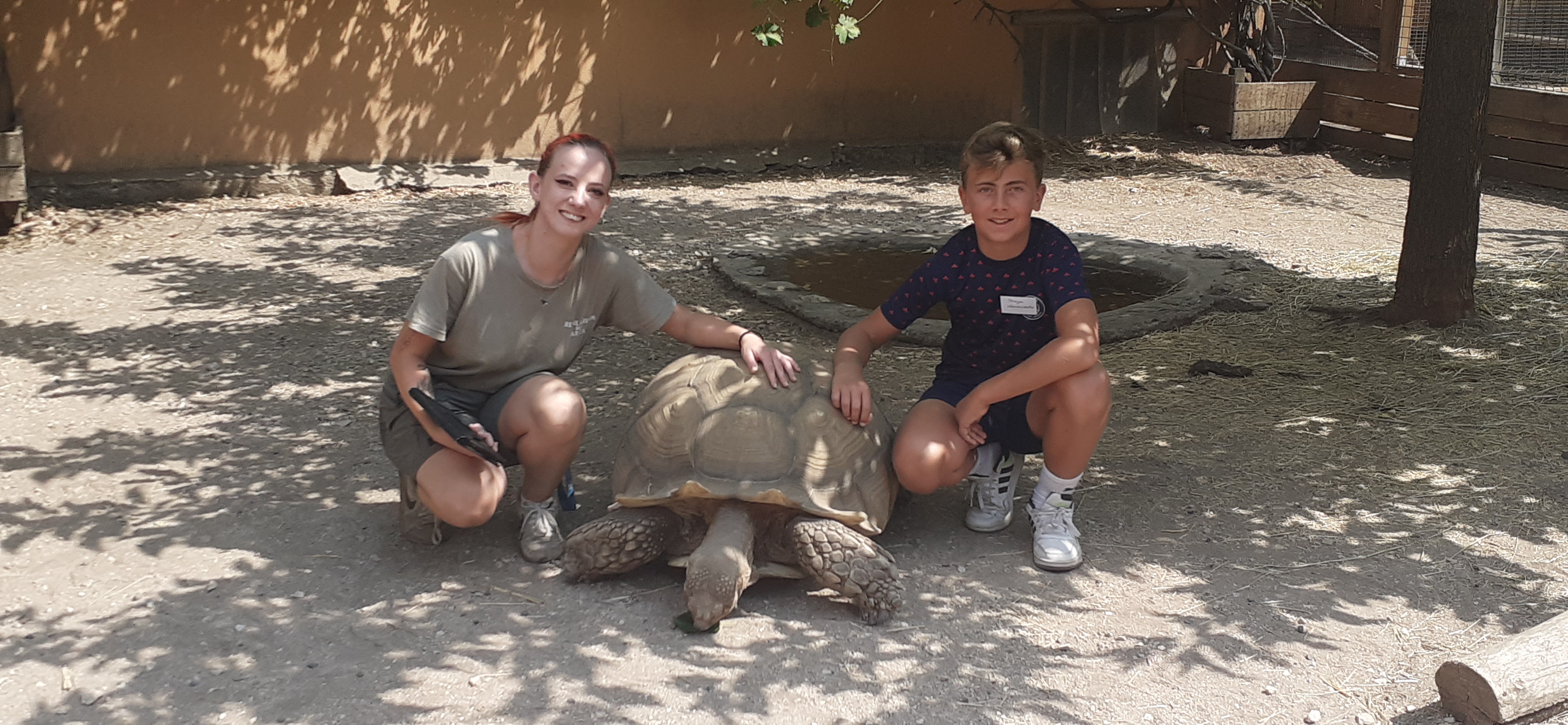 Photo n° 1 de l'avis de N. fait le 25/07/2022 à 14:07