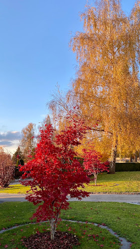 Rezensionen über Friedhof Hofegg in Herisau - Bestattungsinstitut