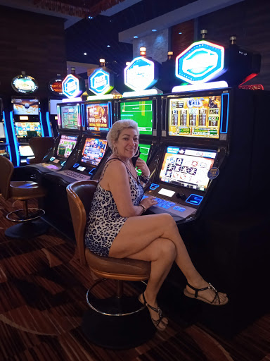 Bodog | Panama Online Casino