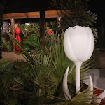 Photo n°5 de l'avis de Eugenio.i fait le 21/08/2020 à 21:33 sur le  Baja dei Fenici à Santa Flavia