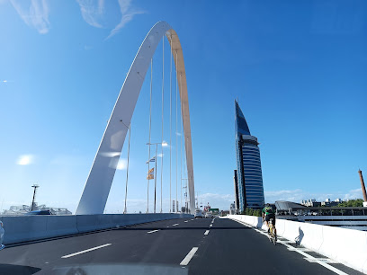 Viaducto de Montevideo