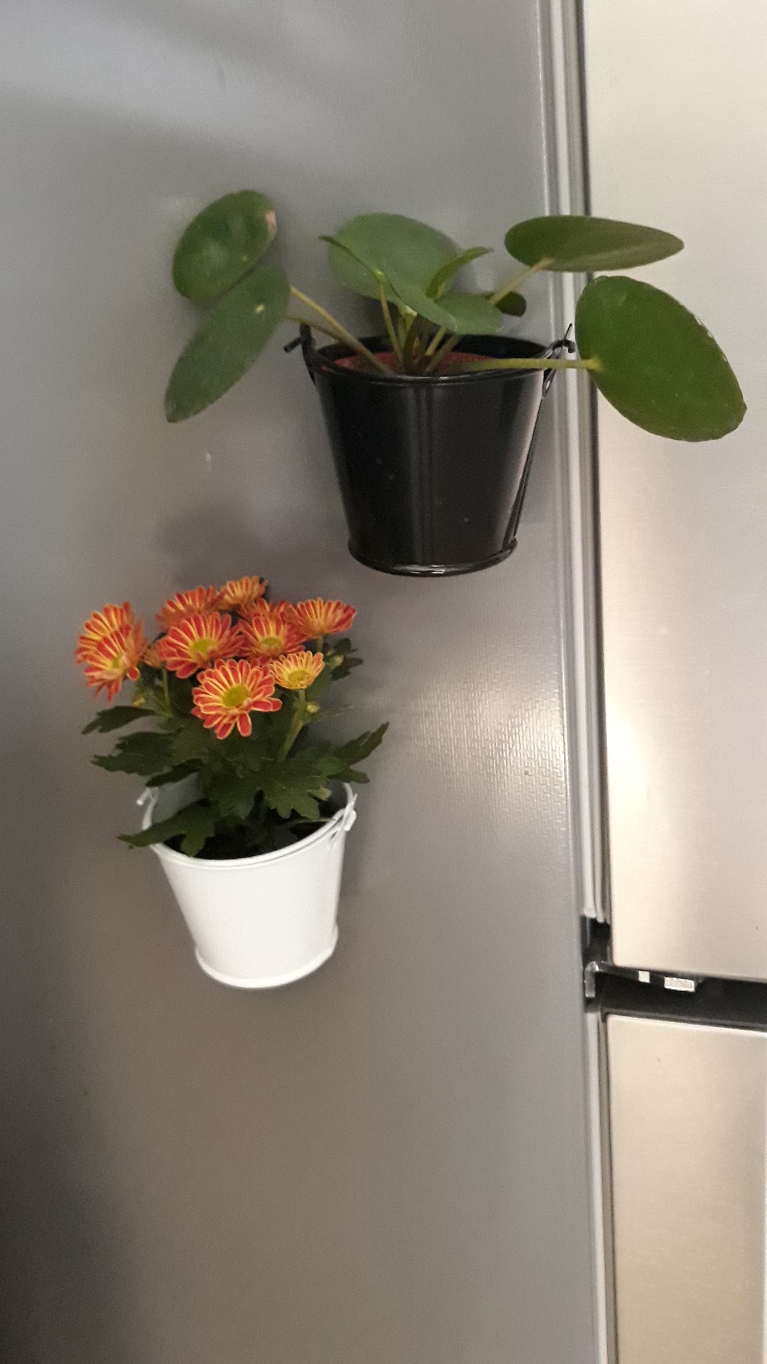 Photo n° 1 de l'avis de So.h fait le 22/06/2019 à 14:42
