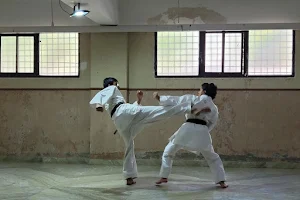 School of Asian Martial Arts image