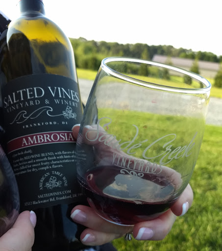 Winery «Salted Vines Vineyard & Winery», reviews and photos, 32512 Rd 374, Frankford, DE 19945, USA