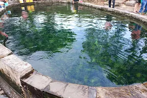 Selayang Hot Spring Pool image