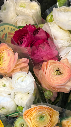 Grocery Store «Whole Foods Market», reviews and photos, 214 3rd St, Brooklyn, NY 11215, USA