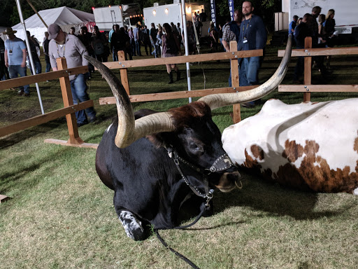 Event Planner «Knibbe Ranch», reviews and photos, 10006 Spring Branch Rd, Spring Branch, TX 78070, USA