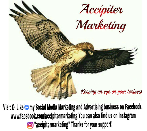 Accipiter Marketing image