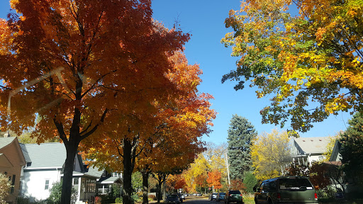 Park «Matthews Park», reviews and photos, 2318 29th Ave S, Minneapolis, MN 55406, USA