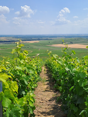 Le Sentier du Vigneron à Mutigny