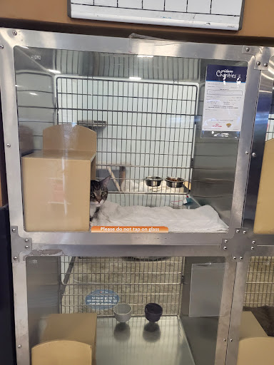 Pet Supply Store «PetSmart», reviews and photos, 1160 Stafford Market Pl, Stafford, VA 22556, USA