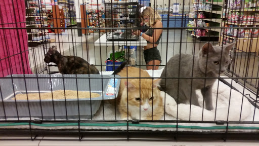Pet Supply Store «PetSmart», reviews and photos, 5766 Lindero Canyon Rd, Westlake Village, CA 91362, USA