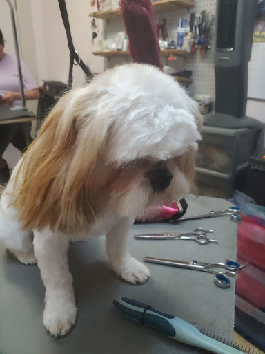 Lisa's Dog Grooming