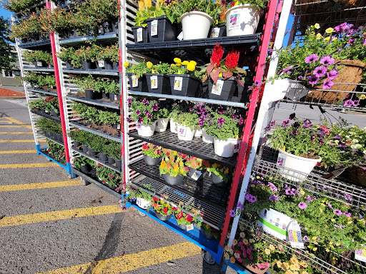 Home Improvement Store «The Home Depot», reviews and photos, 955 S Hartman Dr, Lebanon, TN 37087, USA