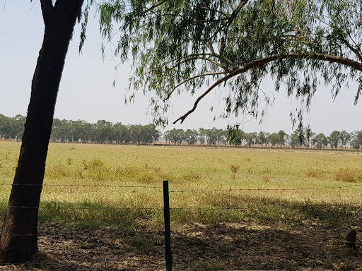 Integrated Dairies Limited, Jos South, Nigeria, Restaurant, state Plateau