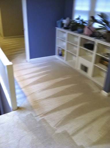 Carpet Cleaning Service «Organic Dry Carpet Cleaning», reviews and photos, 1418 E Washington St, Phoenix, AZ 85034, USA