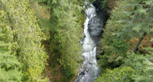 Tourist Attraction «Melmont ghost town», reviews and photos, Carbon River Rd, Carbonado, WA 98323, USA