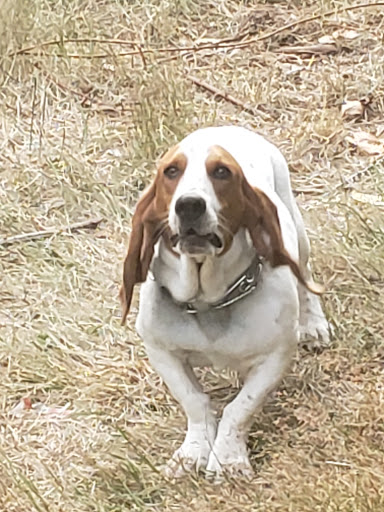 Animal Feed Store «Farmland Pets & Feed», reviews and photos, 9000 Silverdale Way NW, Silverdale, WA 98383, USA