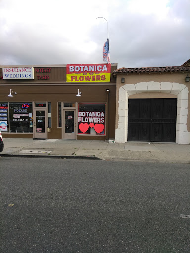 BOTANICA 7 POTENCIAS