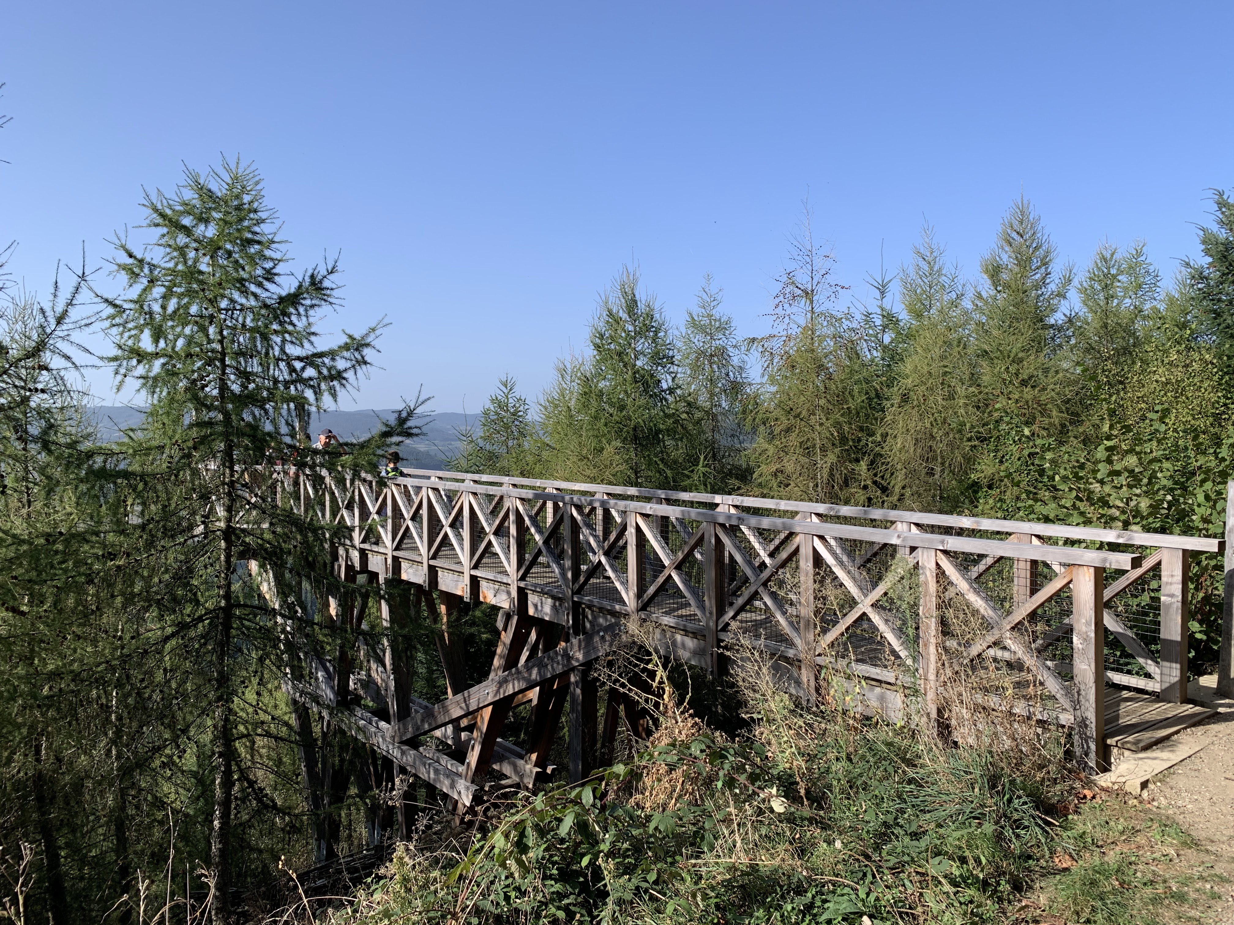 Photo n° 21 de l'avis de Jean-Louis.o fait le 08/10/2023 à 16:00
