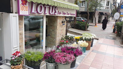 Lotus Çiçekçilik İzmir Alsancak