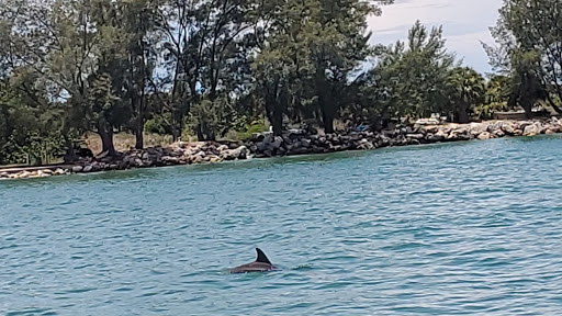 Boat Rental Service «MEGA BITE Tour Boat», reviews and photos, 25 Causeway Blvd, Clearwater Beach, FL 33767, USA